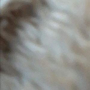 Meet your Posher, Caitlin